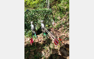 Tir 3D CRUSEILLE 26-04 (samedi)